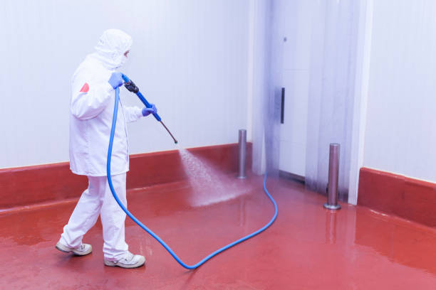 Best Concrete Surface Cleaning in Sylva, NC